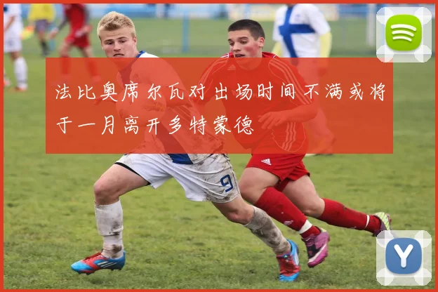 法比奥席尔瓦对出场时间不满或将于一月离开多特蒙德