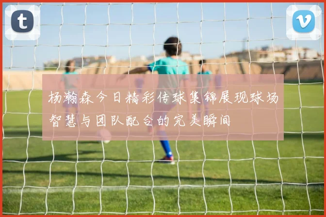 杨瀚森今日精彩传球集锦展现球场智慧与团队配合的完美瞬间